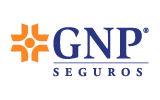GNP